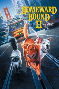 Nonton film Homeward Bound II: Lost in San Francisco (1996) terbaru sub indo di Layarkaca21 LK21 INDOXXI Cinema21 XX1
