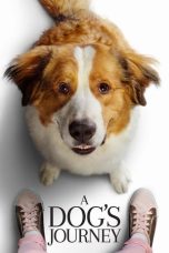 Nonton film A Dog’s Journey (2019) terbaru sub indo di Layarkaca21 LK21 INDOXXI Cinema21 XX1