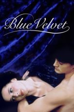 Nonton film Blue Velvet (1986) terbaru sub indo di Layarkaca21 LK21 INDOXXI Cinema21 XX1
