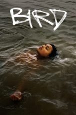 Nonton film Bird (2024) terbaru sub indo di Layarkaca21 LK21 INDOXXI Cinema21 XX1