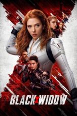 Nonton film Black Widow (2021) terbaru sub indo di Layarkaca21 LK21 INDOXXI Cinema21 XX1