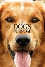 Nonton film A Dog’s Purpose (2017) terbaru sub indo di Layarkaca21 LK21 INDOXXI Cinema21 XX1