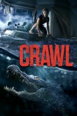 Nonton film Crawl (2019) terbaru sub indo di Layarkaca21 LK21 INDOXXI Cinema21 XX1