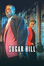 Nonton film Sugar Hill (1994) terbaru sub indo di Layarkaca21 LK21 INDOXXI Cinema21 XX1