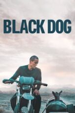 Nonton film Black Dog (2024) terbaru sub indo di Layarkaca21 LK21 INDOXXI Cinema21 XX1