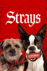 Nonton film Strays (2023) terbaru sub indo di Layarkaca21 LK21 INDOXXI Cinema21 XX1