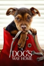 Nonton film A Dog’s Way Home (2019) terbaru sub indo di Layarkaca21 LK21 INDOXXI Cinema21 XX1